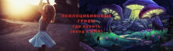 индика Нязепетровск