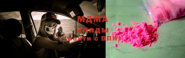 индика Нязепетровск