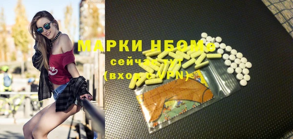 индика Нязепетровск