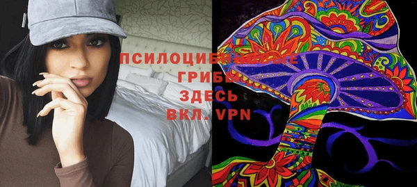 индика Нязепетровск
