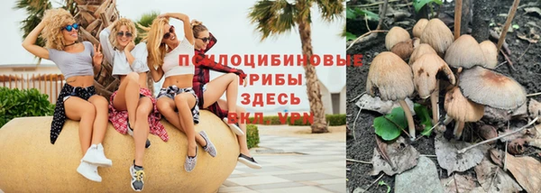 герыч Нягань