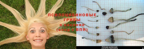 альфа пвп VHQ Алексин