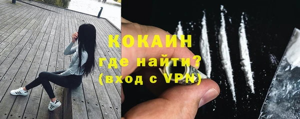 меф Няндома